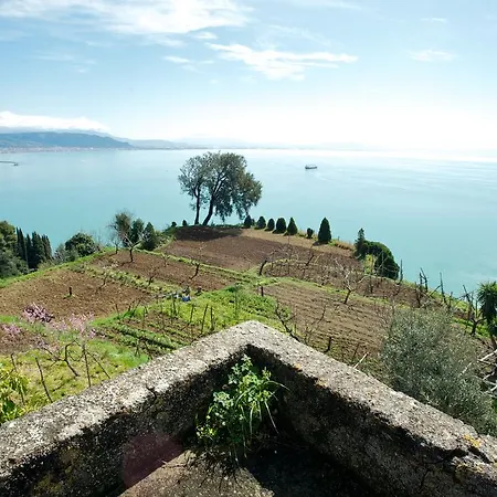 Sopra il Limoneto-2