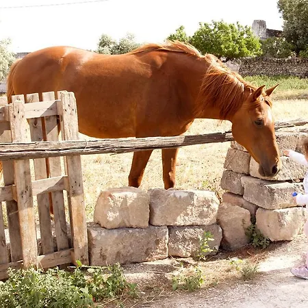 Masseria Curatori-2