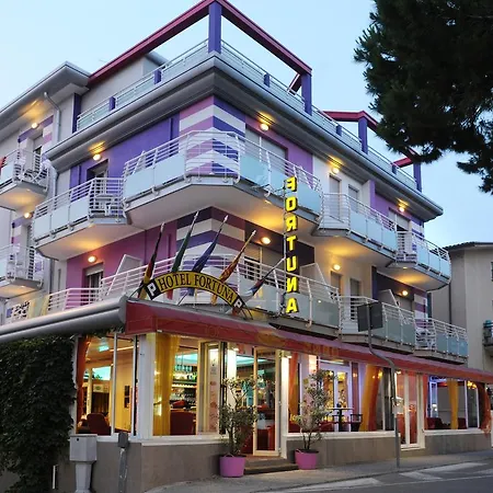 Hotel Fortuna-3