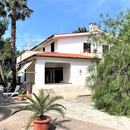 Residence Palm Garden-3