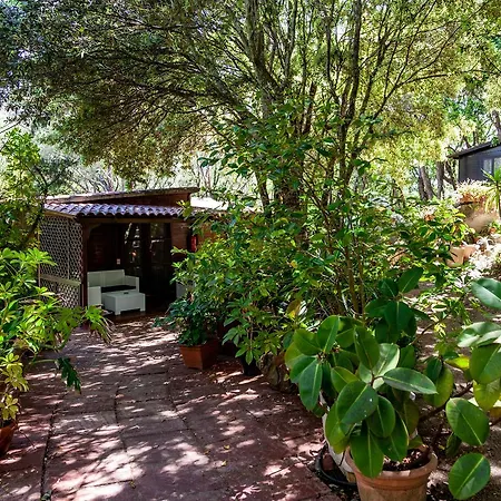 Casa Saltara (Adults Only)-2