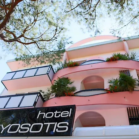 Hotel Myosotis-2
