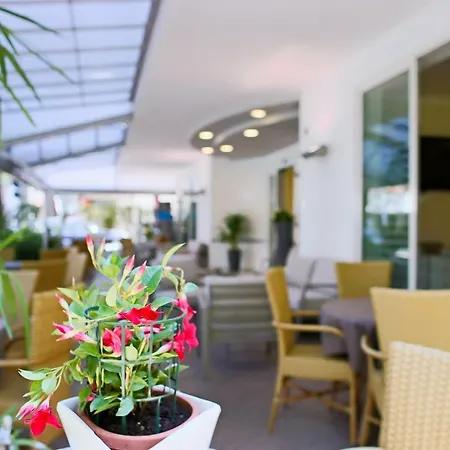Hotel Myosotis-3