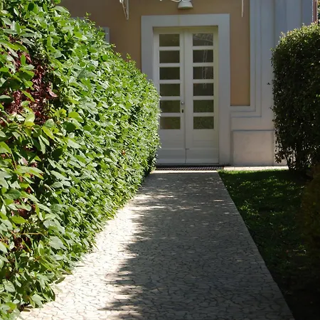 Ceccarini Suite-2