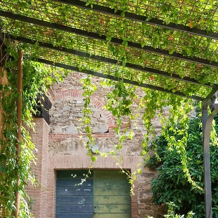 Fattoria Pian Di Rocca-2