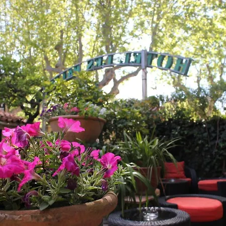Hotel Les Palmiers-3