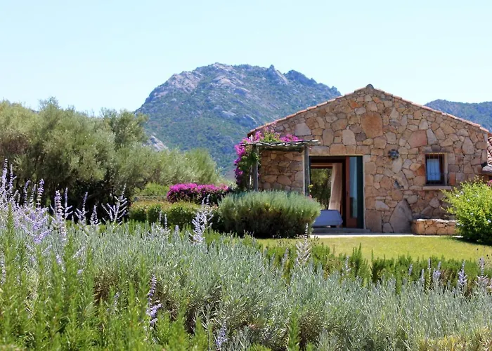 Bed and Breakfast Albero Capovolto Golfo Aranci