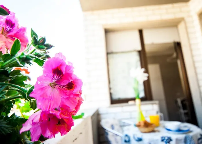 Hotel sul MareBrisa Del Mar