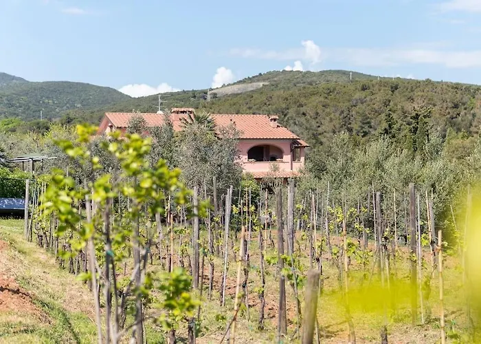 Agriturismo De Santis Castiglioncello