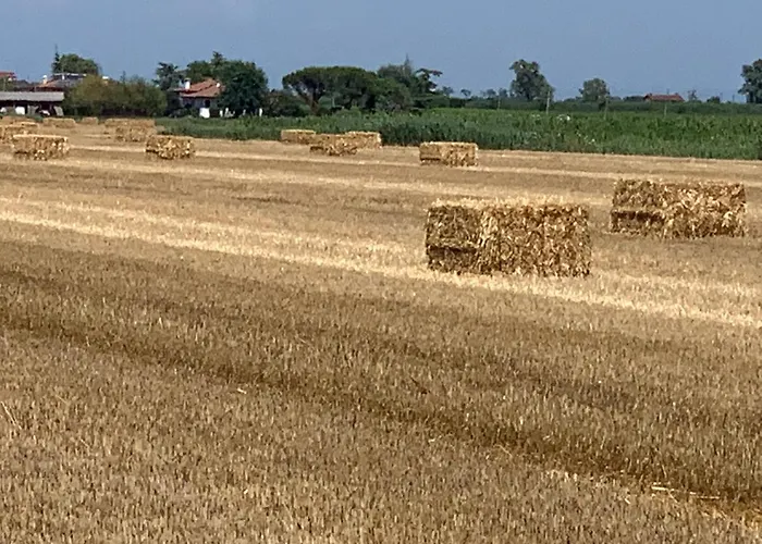 Agriturismo Ca' Alleata Caorle