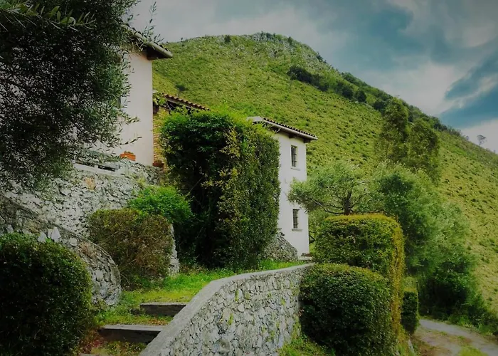Agriturismo Nappi - Azienda Agricola Piano delle Vigne Praia a Mare