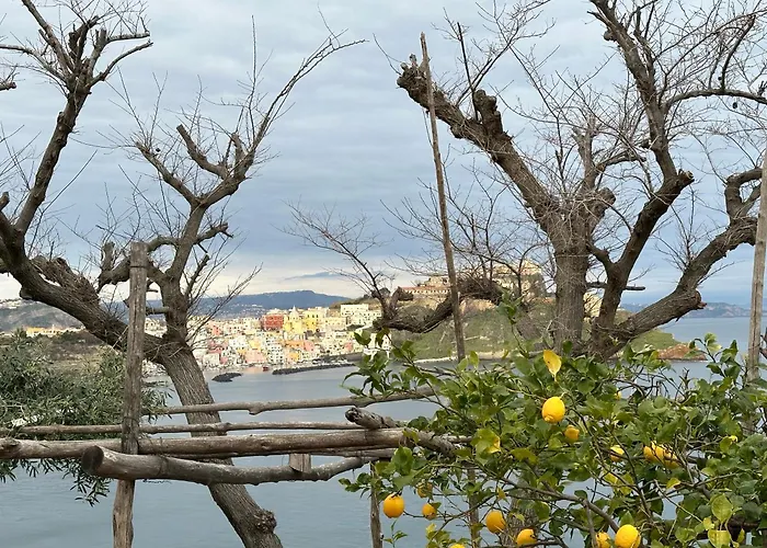 La Casetta dei Sogni Procida