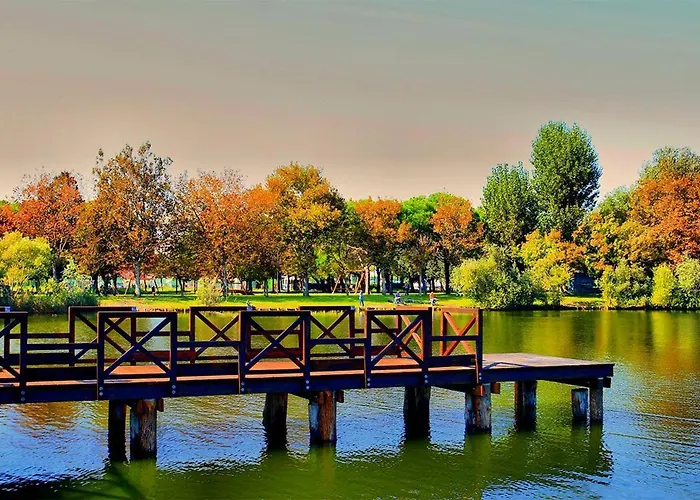 Hotel sul MareAdriatico