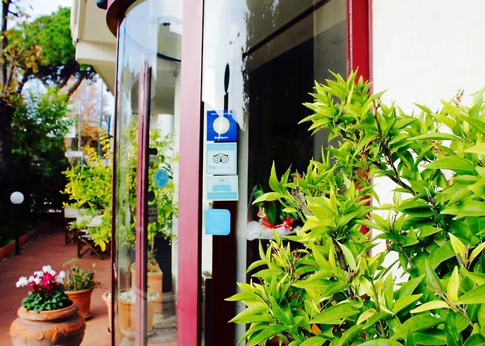 Hotel sul MareArcangelo Roof