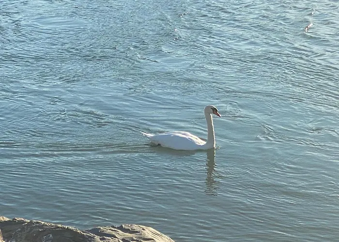 Hotel Mazzini Lido di Jesolo