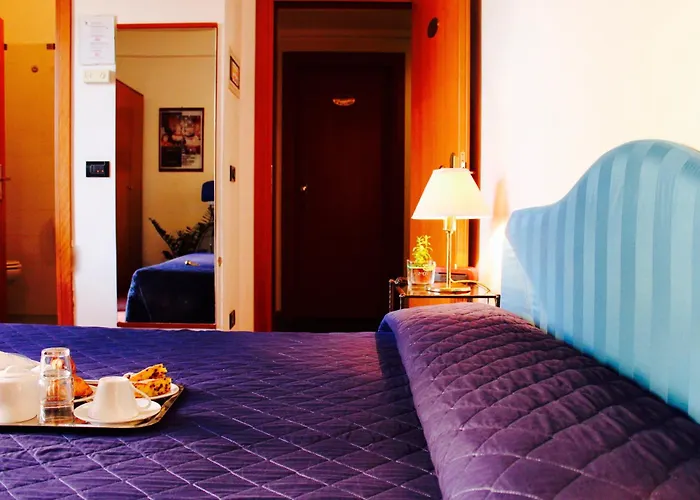 Hotel sul MareArcangelo Roof