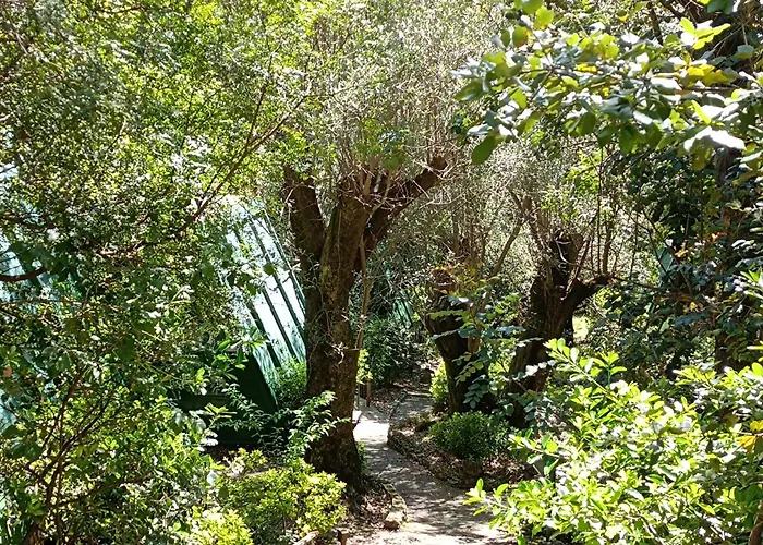 La Francesca Sud un villaggioglamping Scario