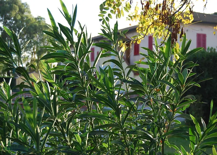Casa Vacanze Guardamare San Vincenzo