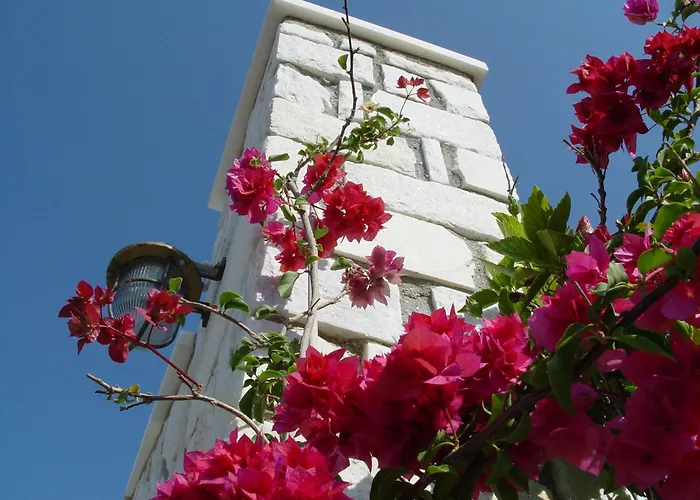 Anna Platanou Hotel Paro