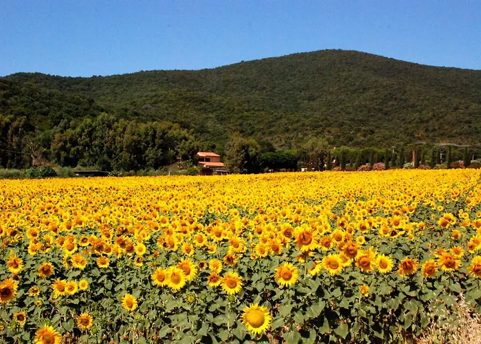 Podere Valborgina Castiglione della Pescaia