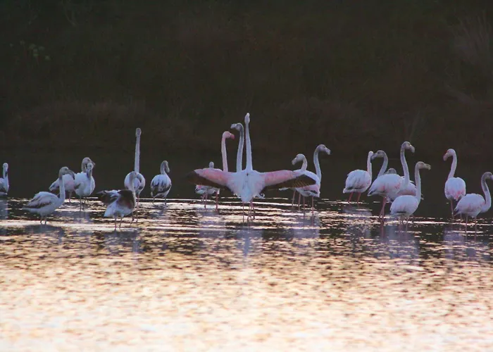 Hotel sul MareRoccabianca Rooms&Studios