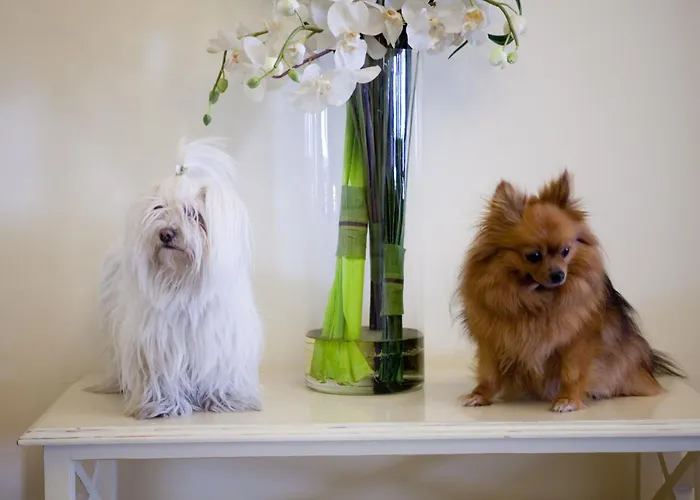 Hotel sul MareSperanza