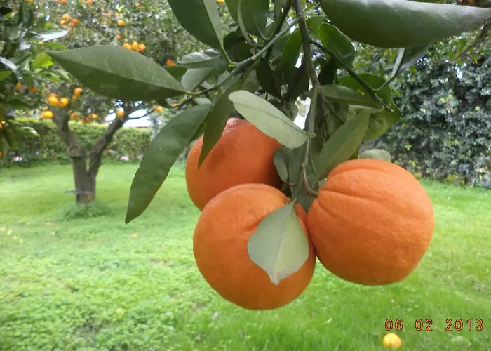 Hotel Villa Palocla Sciacca