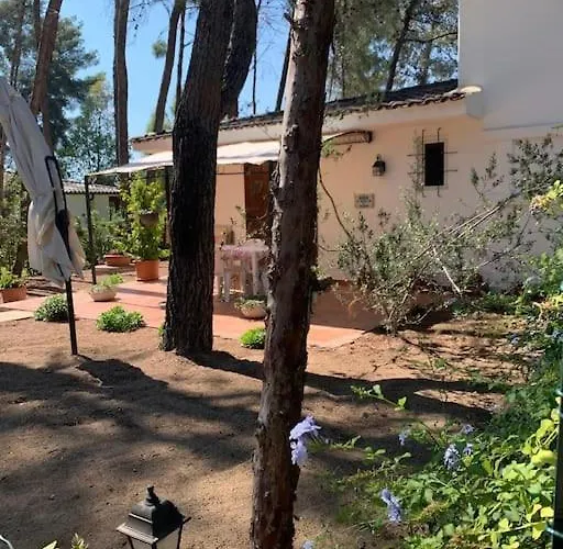 Chalet Felicita con giardino Immerso nel bosco Castellaneta Marina