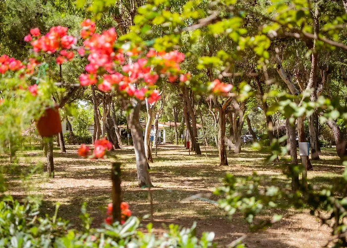 Camping Village Baia Falcone Vieste