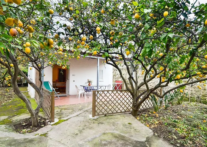 Residence Limoneto Ischia Forio di Ischia