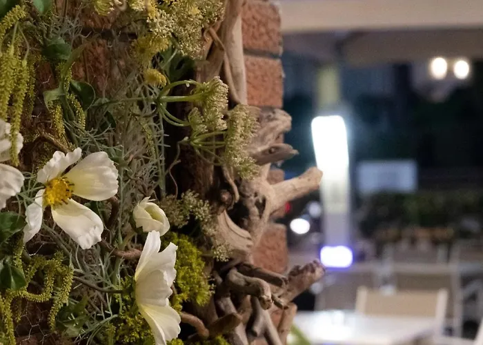 Hotel Orsa Maggiore Milano Marittima