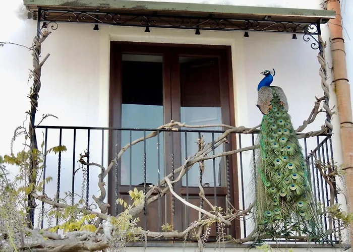 Agriturismo U Zu Peppino Città di Lipari