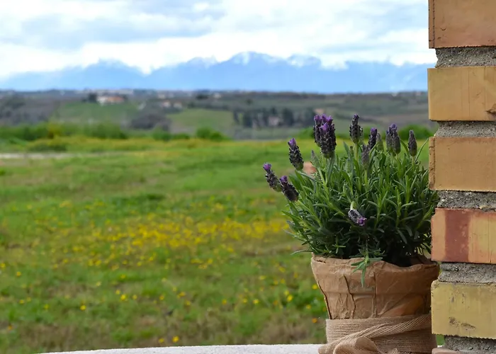 Agriturismo Arkadia Vasto