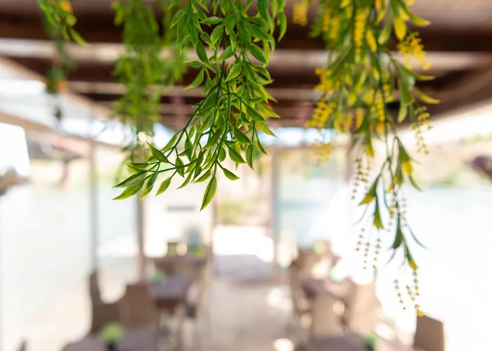 B&B Agriturismo Tenuta Barone Gallipoli