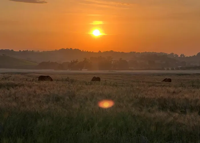 Hotel sul MareHornos