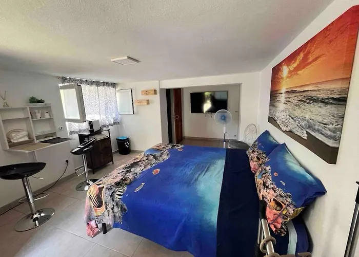 Hotel Rifugio Sul Mare Vada