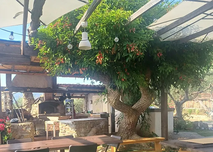 Bed and Breakfast Dimora Acqua del Fico Castellabate