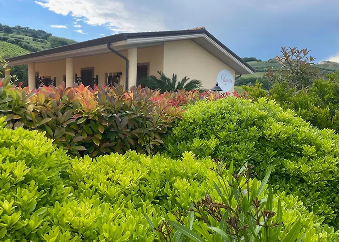 Vigneto - Italian Restaurant&B&B Villa Rosa Di Martinsicuro