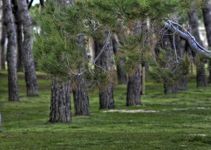 Hotel sul MareMare Blu -- Boutique