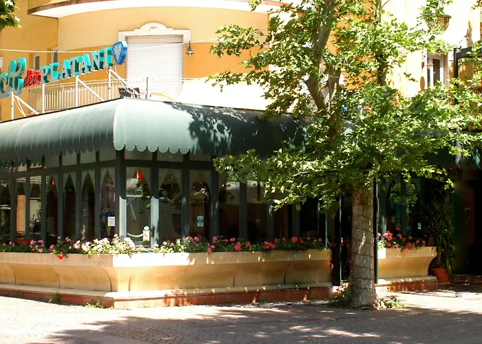 Hotel Dei Platani Rimini