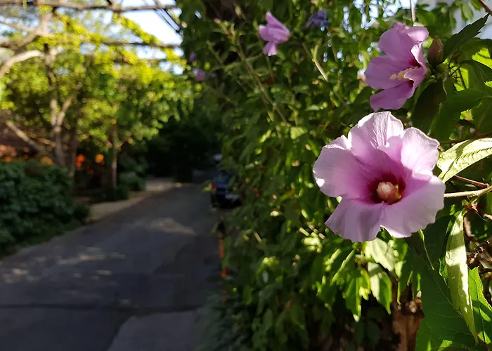 Residence Villaggio Verde Sorrento