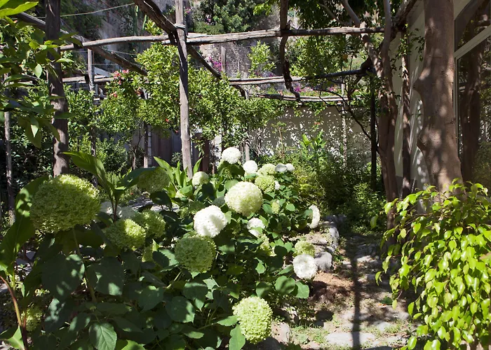 Hotel sul MarePupetto