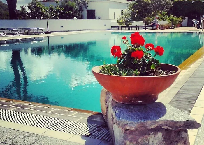 Hotel Al Bosco Forio di Ischia