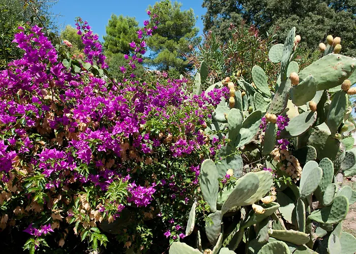 Ostuni Rosa Marina Resort