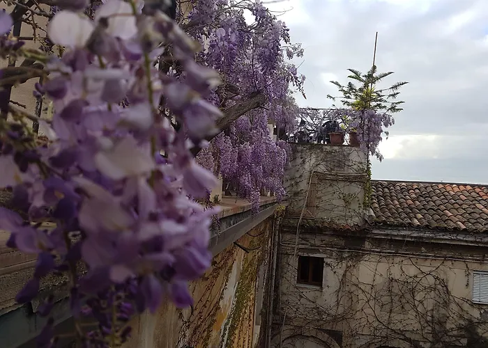 Hotel sul MareBiscari