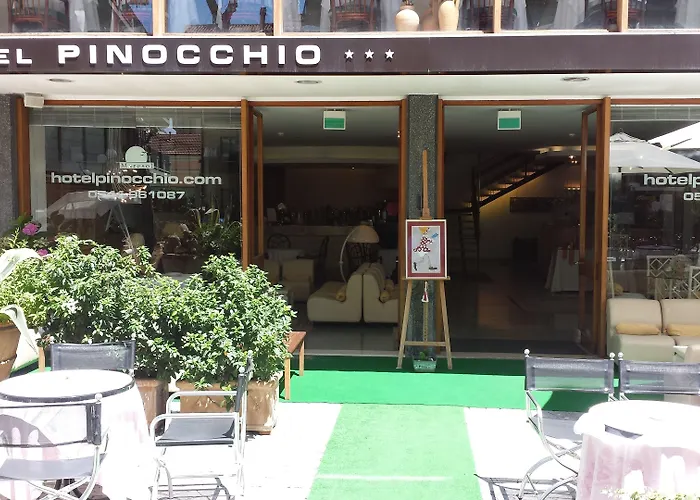 Hotel sul MarePinocchio