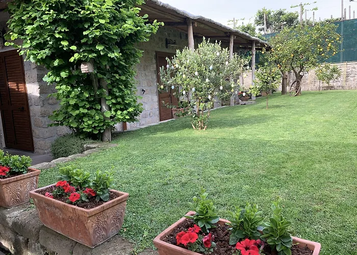 Bed and Breakfast Giardino Sorrentino