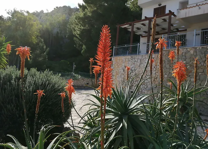 Hotel sul MareAuralba