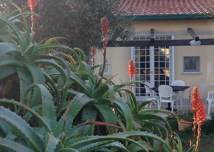 Hotel sul MareLe Stanze Sul Mare