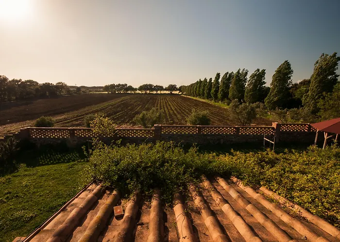Bed and Breakfast Casalventodimare e Tramontana Montalto di Castro